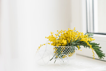Small sprigs of mimosa stand in a souvenir bicycle in the style of Provence on a white windowsill in spring. The concept of the beginning of spring