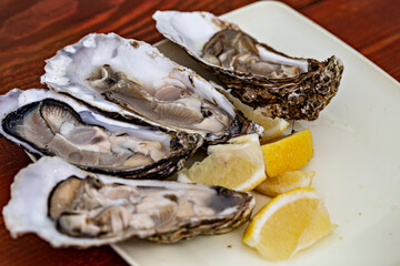 Fresh oysters close up with slices of lemon