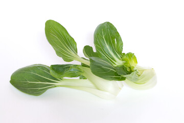 Close up of a fresh green lettuce cantonese vegetables, bok choy isolated on white background