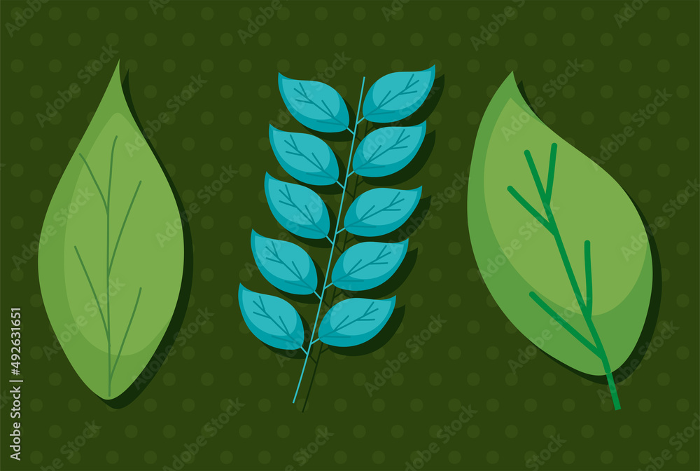 Canvas Prints leaves icon set