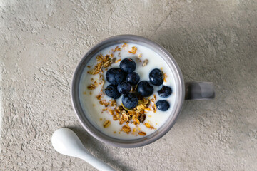 yogurt, muesli, blueberries in a cup on gray plaster