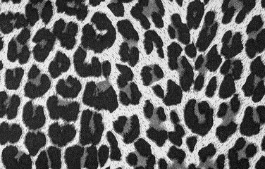 background with leopard texture, close up