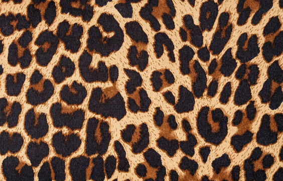 leopard fur texture © Alisa