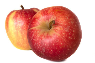 Isolated apples. Two whole red apples