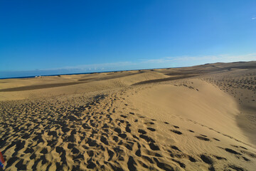 Fototapeta na wymiar dune di maspalomas isola gran canaria
