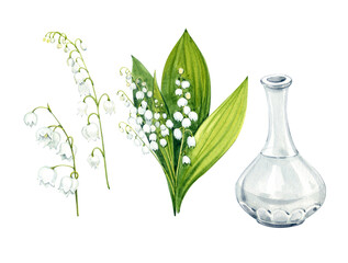 Watercolor clip art. Lilies of the valley. Bouquet, white bells and a glass vase. White spring flowers.