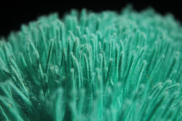 Close up of pillow fuzz