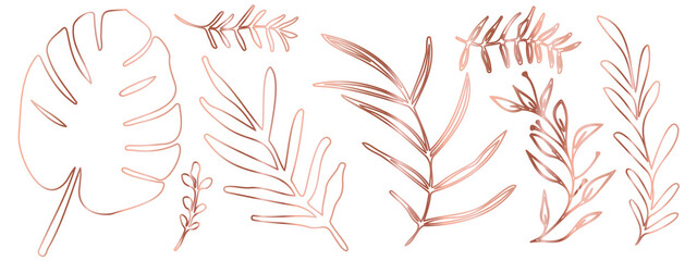 Vector plants and grasses in gold style with shiny effects. Minimalist style. Hand drawn plants. With leaves and organic shapes. For your own design.