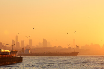 Fototapeta premium Ships sail along the Bosphorus in the yellow dawn light. Birds fly in the sky. Panorama of the city, silhouettes of skyscrapers, promenade. Istanbul, Turkey