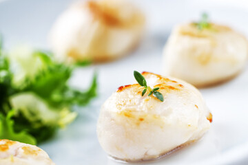 Seared Scallops with Side Salad on a plate