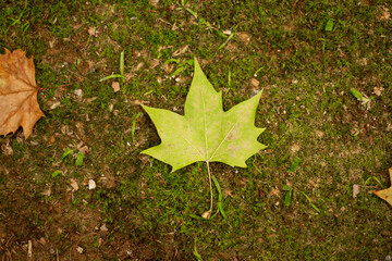 Symbol