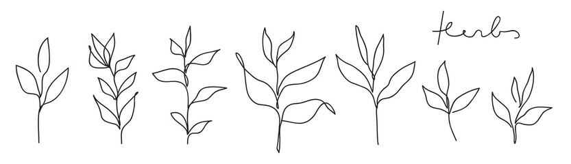 Herb line art collection. Abstract leaves continuous line drawing set.Botanical elegant vector illustration