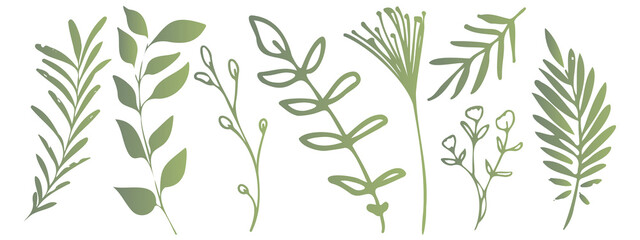 Obraz na płótnie Canvas Vector plants and grasses. Minimalist style in green colors of hand drawn plants. With leaves and organic shapes. For your own design.
