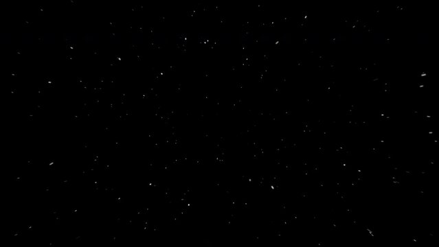 Stream of falling snow on black background. Animation. Rare snow is moving slowly in stream. Snow is moving towards viewer on isolated background