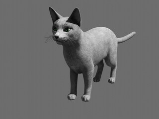 3d computer rendered illustration of a house cat
