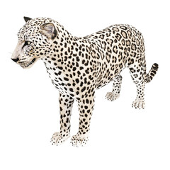 3d computer rendered illustration of a leopard