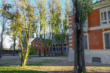 Trees near old ruined sugar factory in Valladolid, Spain