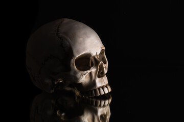 Skull on a mirror on a black background