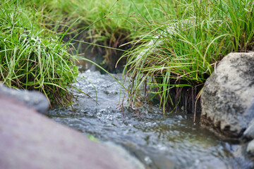 Natural waterway in day time
