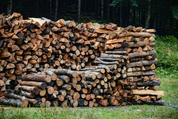 firewood cut and arranged near a forest