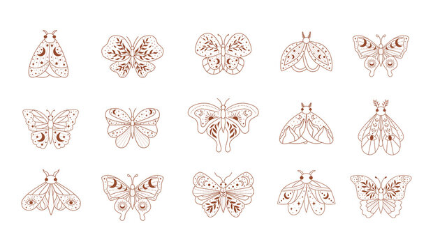 Magical Butterfly with Moon and stars