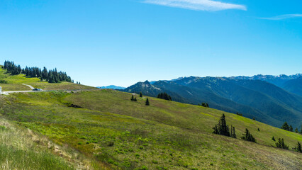 Naklejka premium Olympic National Park Hurricane Ridge, Washington State