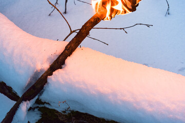 Fire in the woods. Torch in the winter forest