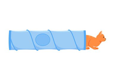 Cat tunnel. Cute red cat in collapsible toy tube. Hiding and resting place for indoor pet. Flat style vector 
