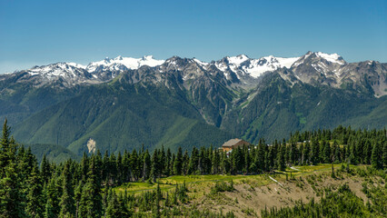 Fototapeta premium Olympic National Park Hurricane Ridge, Washington State