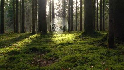 Animated earth planet inside sunny mossy forest landscape.