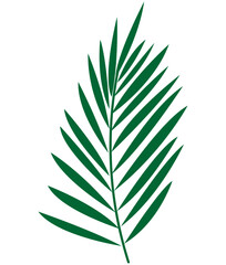 Vector illustration green palm branch