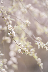 Moment at the Nature