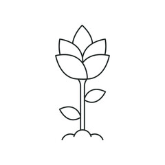 Tulip flower line icon isolated on white background. Vector illustration