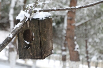 Bird's nest in the forest in the snow. A birdhouse made of wood. There is snow in the forest. Cold winter day.