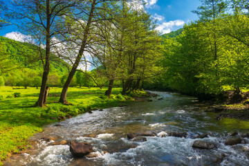 spring landscape with river and trees on the shore. mountains in the distance. sunny day and blue sky with clouds