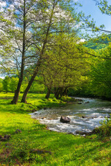 spring landscape with river among park. mountains in the distance. sunny day and blue sky with clouds