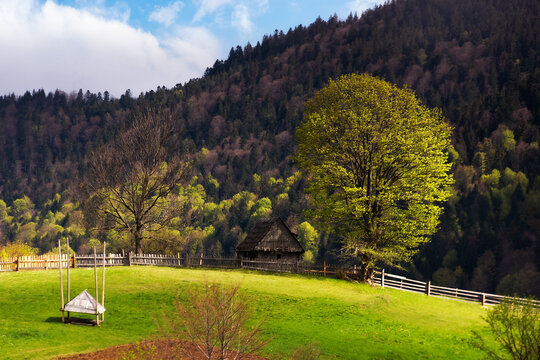 rural landscape in mountains. tree and wooden barn on the hill. nature scenery in dappled light