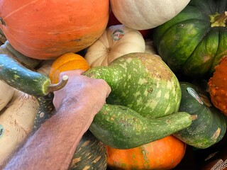 Decorative gourds and pumpkins on display in a retail grocery store during the Fall in Georgia