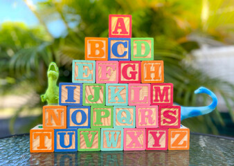 Alphabet Letter in Box. Baby Toys. Complete Design Color Set.