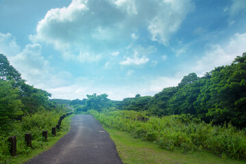 Fototapeta na wymiar Grey road between forest , Nature photography, Forest road under cloudy blue sky Kerala India 