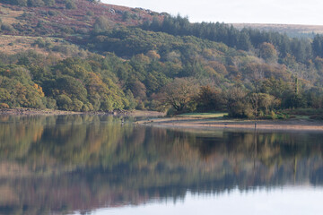 lake in autumn