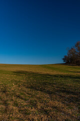 Fototapeta na wymiar Green field and blue sky in winter sunny morning in Litovel area