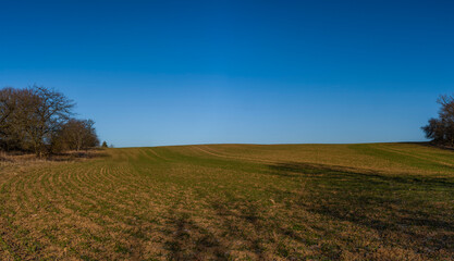 Green field and blue sky in winter sunny morning in Litovel area