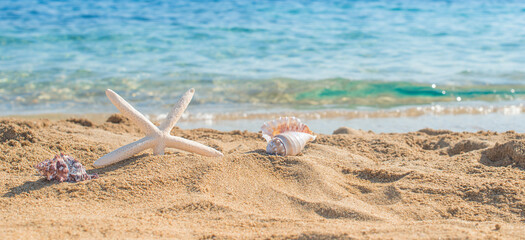 Summer sandy beach with blur sea on background. Starfish and seashells on the sand.