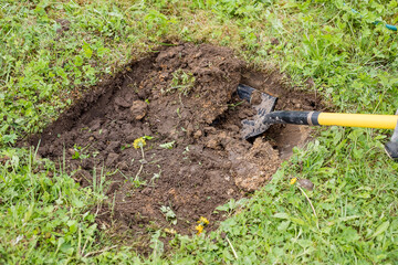 Digging the earth with a spade at countryside. Male foot wearing a rubber boot digging the earth with a spade. iron shovel stuck in the ground.preparing for garden work. photo in natural light