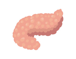 flat realistic pancreas design