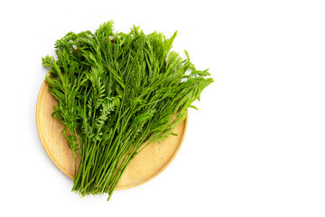 Leucaena leucocepphala on white background.