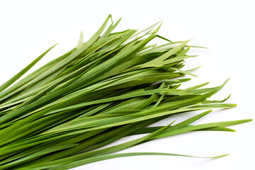 Fresh Chinese Chive leaves on white background.