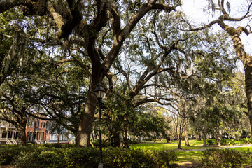 Savannah, Georgia