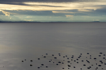 Lots of boats aligned in the same direction on the Lake Titicaca, Bolivia. Beautiful sunset.